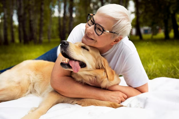 What Is Lifetime Pet Insurance