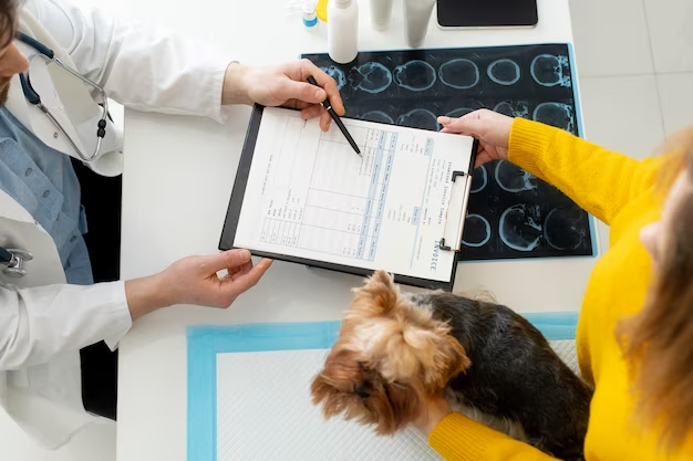 Pet Insurance process